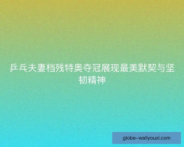 乒乓夫妻档残特奥夺冠展现最美默契与坚韧精神 乒乓夫妻档残特奥夺冠展现最美默契与坚韧精神